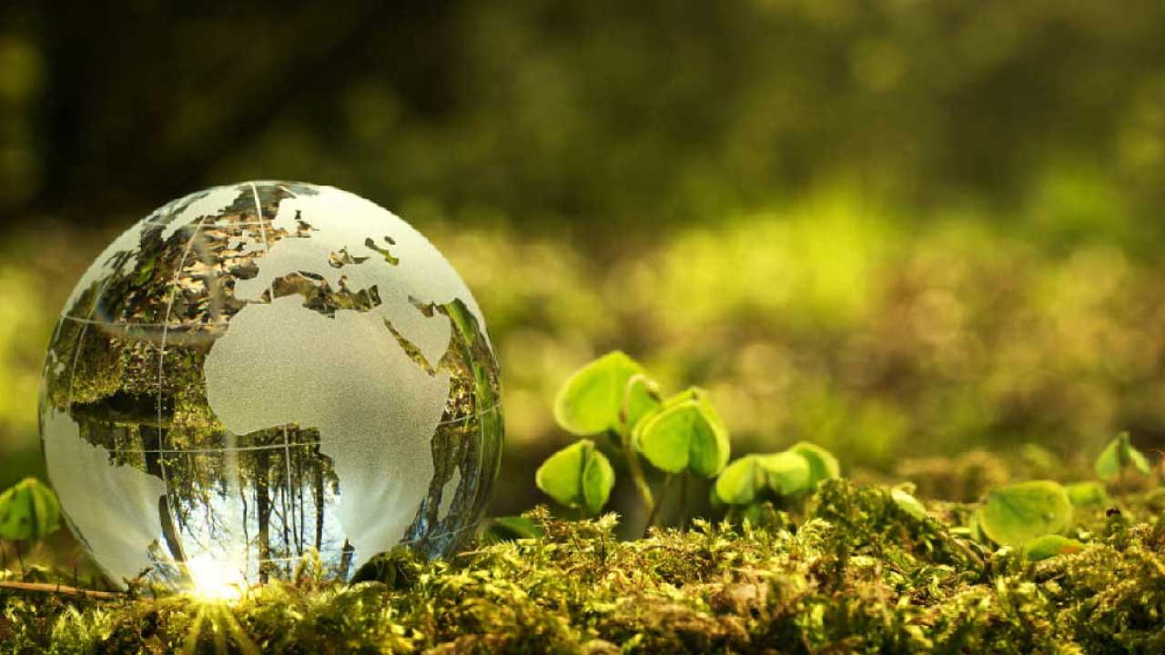 প্রাইম আইটি ওয়ার্ল্ড নিউজ-২৩ ডেমো ফটোগ্যালারী সিক্স