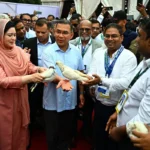একটি চক্র জ্বালানি খাতকে অস্থিতিশীল করার জন্য সক্রিয়: প্রধানমন্ত্রী