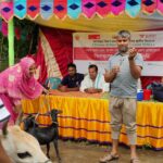 গরুর ক্ষুরা ও ছাগল-ভেড়ার পিপিআর রোগ প্রতিরোধে বিনামূল্যে টিকাদান কর্মসূচি অনুষ্ঠিত