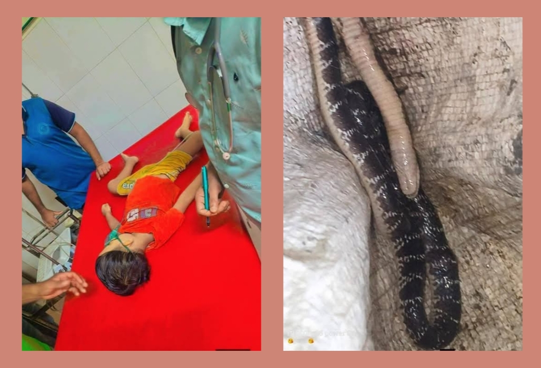 সাতক্ষীরায় বিষধর সাপের ছোবলে শিশু তানজিম হাসানের অকাল মৃত্যু