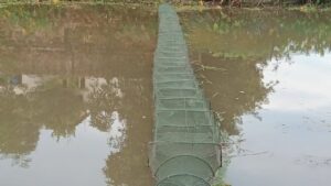 গাইবান্ধায় নিষিদ্ধ চায়না জালে অবাধে মাছ শিকার, হুমকিতে দেশীয় মাছ