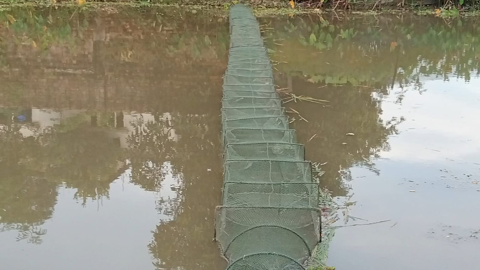 গাইবান্ধায় নিষিদ্ধ চায়না জালে অবাধে মাছ শিকার, হুমকিতে দেশীয় মাছ