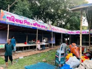 বিদ্যুৎ সংকটে সাশ্রয়ের নির্দেশ, গাইবান্ধায় ঝলমলে বাণিজ্য মেলার প্রস্তুতি—বৈপরীত্য নিয়ে প্রশ্ন