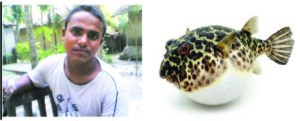 পটকা মাছ খেয়ে একই পরিবারে ৬ জন অসুস্থ : চিকিৎসাধীন অবস্থায় ১জনের মৃত্যু